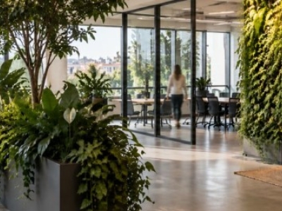 Diseño biofílico en la oficina: naturaleza y rendimiento